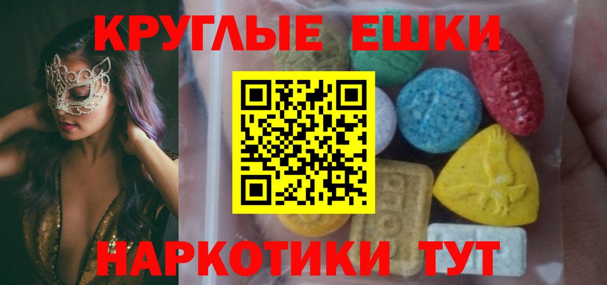МЕФ Кингисепп