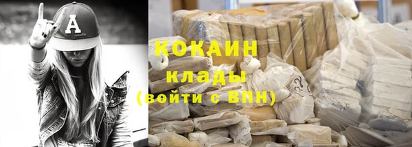гидра Кодинск