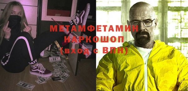 гидра Кодинск