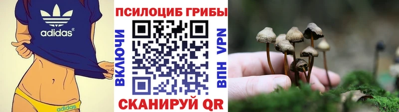 Галлюциногенные грибы Magic Shrooms  Кингисепп 