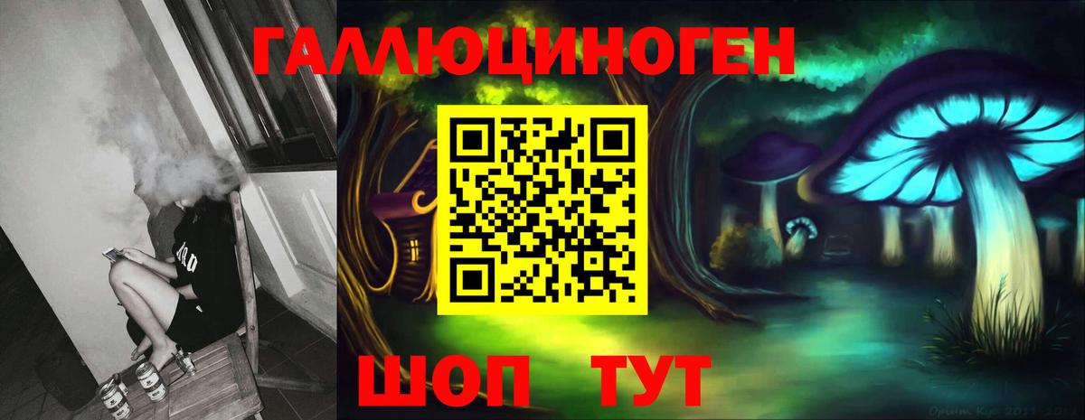 Псилоцибиновые грибы прущие грибы Кингисепп